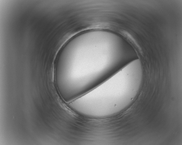 X0000068721276200604280915