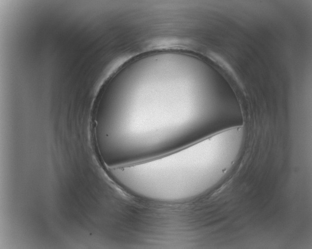 X0000068721277200604280915