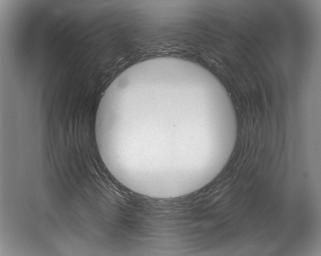 X0000068721298200604280913