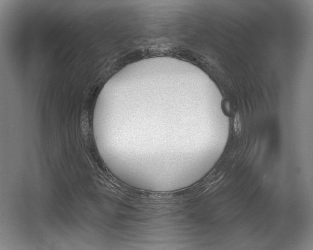 X0000068721299200604280913