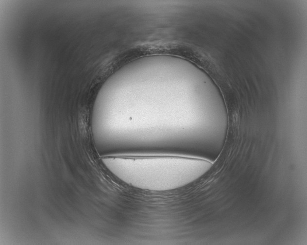 X0000068721300200604280913