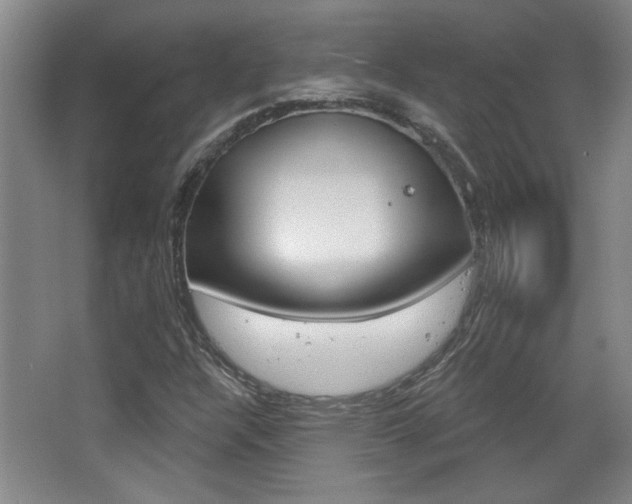 X0000068721304200604280914