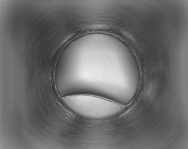 X0000068721305200604280914