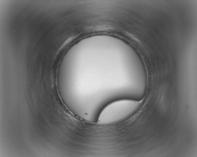 X0000068721306200604280914