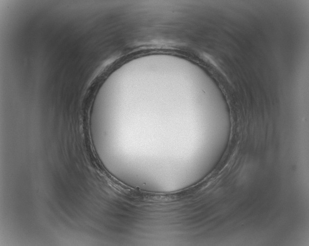 X0000068721307200604280914