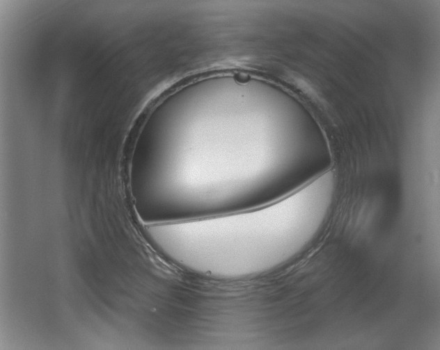 X0000068721308200604280914