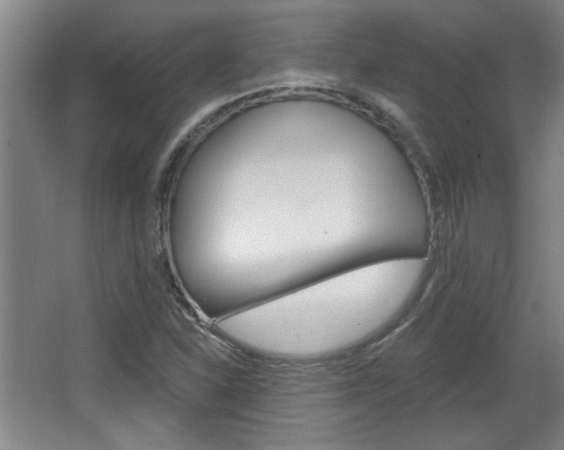 X0000068721310200604280914