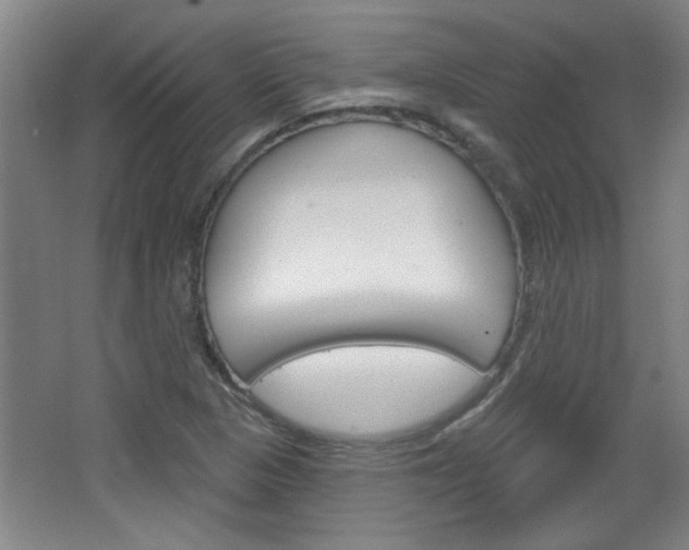 X0000068721313200604280914