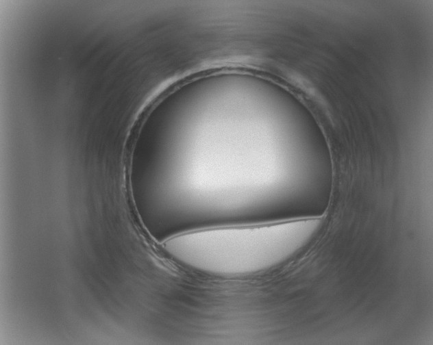 X0000068721316200604280914