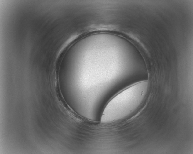 X0000068721317200604280914
