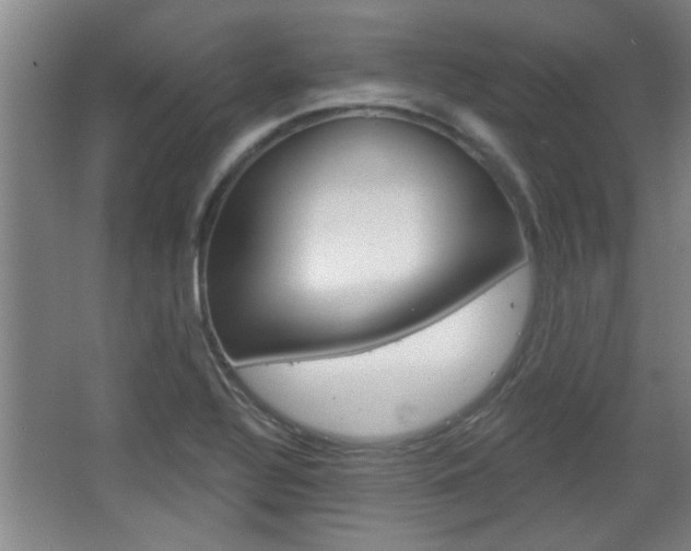 X0000068721320200604280914