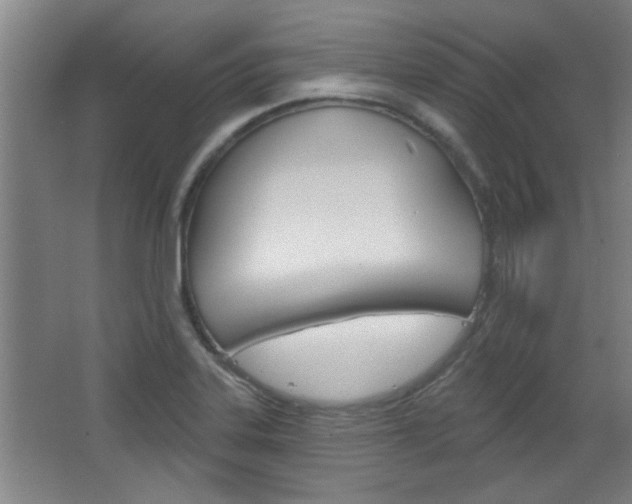 X0000068721323200604280914