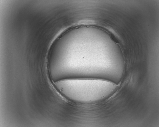 X0000068721325200604280914