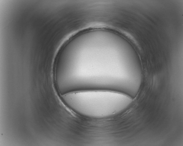 X0000068721327200604280914