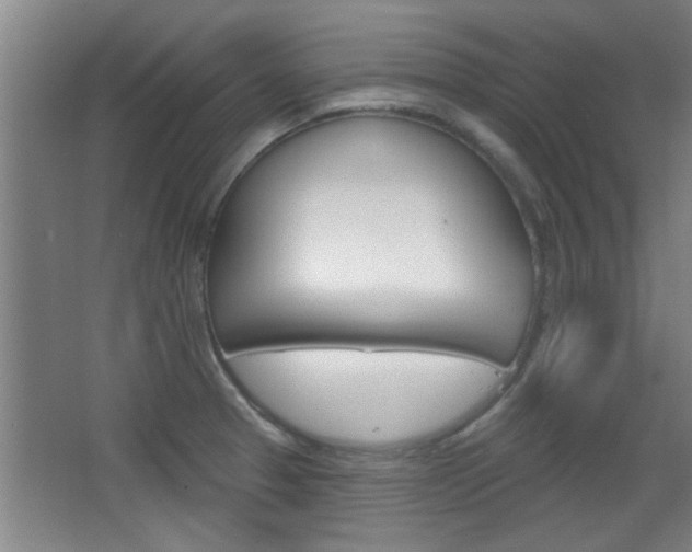 X0000068721329200604280914