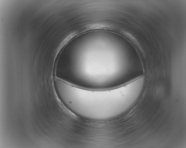 X0000068721330200604280914