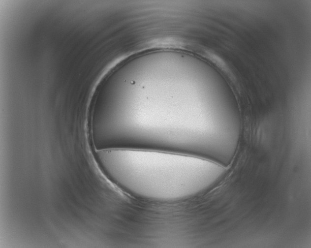 X0000068721331200604280914