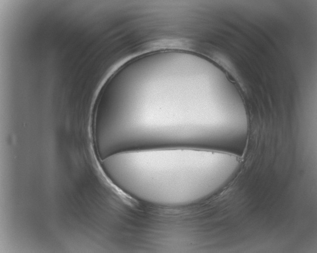 X0000068721339200604280914