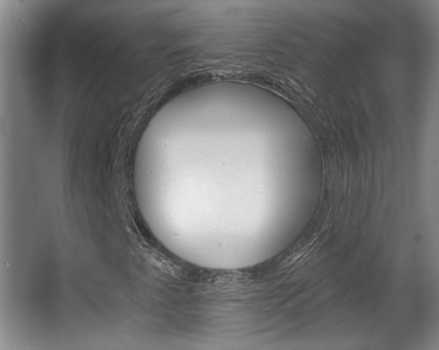 X0000068721345200604280913