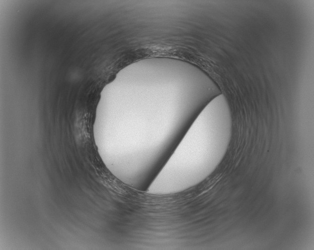X0000068721346200604280913