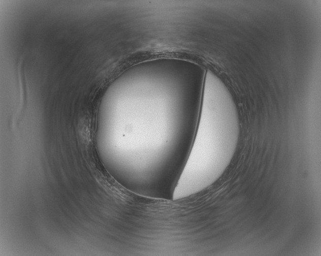 X0000068721348200604280913
