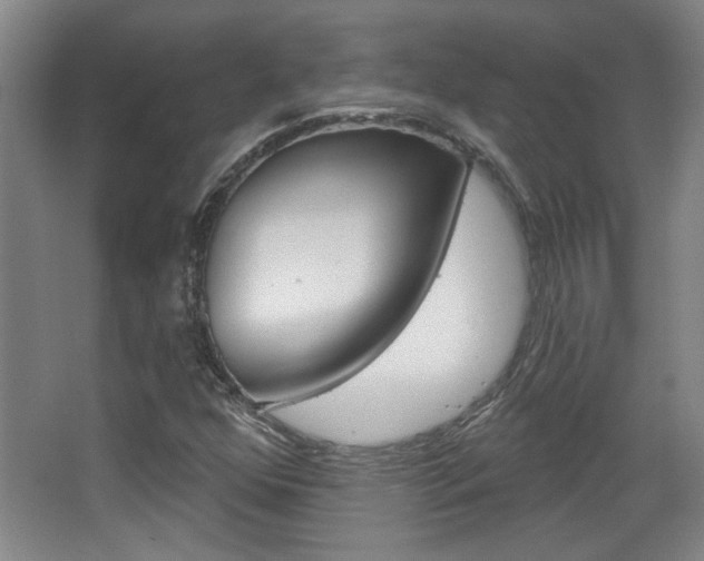 X0000068721352200604280913