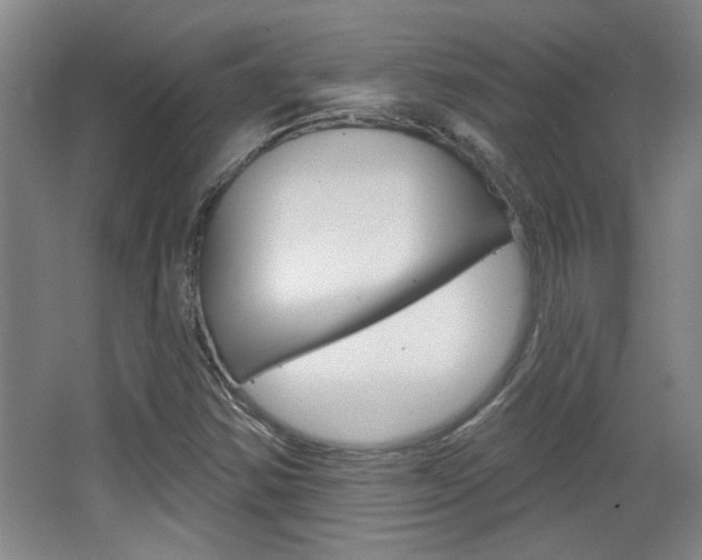 X0000068721354200604280913
