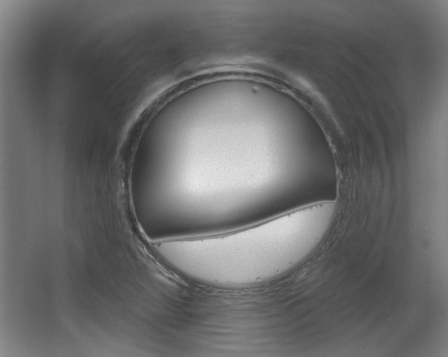 X0000068721360200604280913