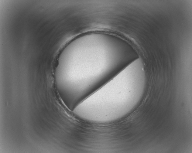 X0000068721363200604280913