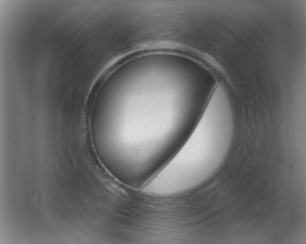 X0000068721364200604280913