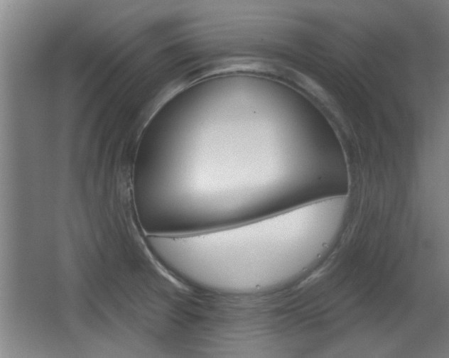 X0000068721377200604280913