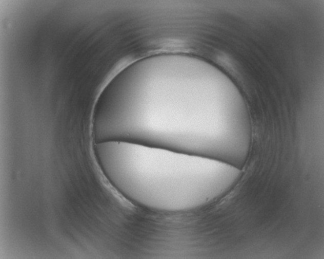 X0000068721378200604280913
