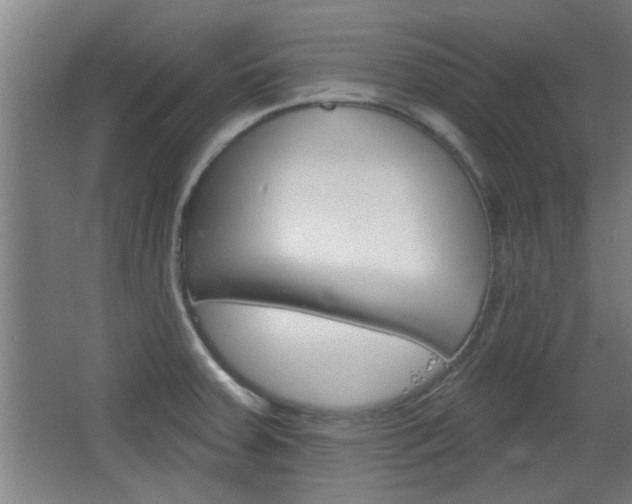 X0000068721379200604280913