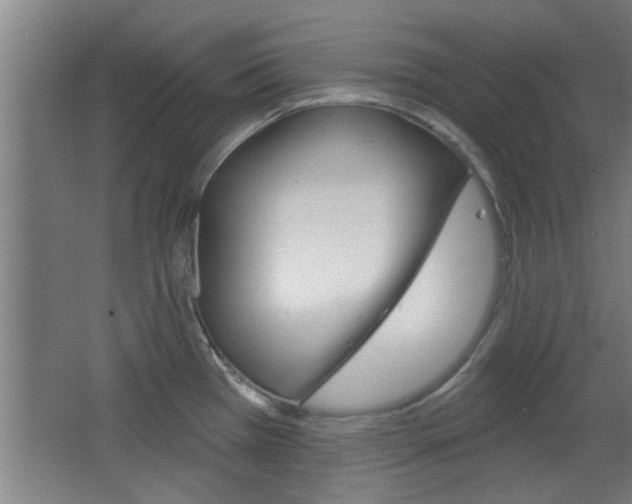 X0000068721385200604280913