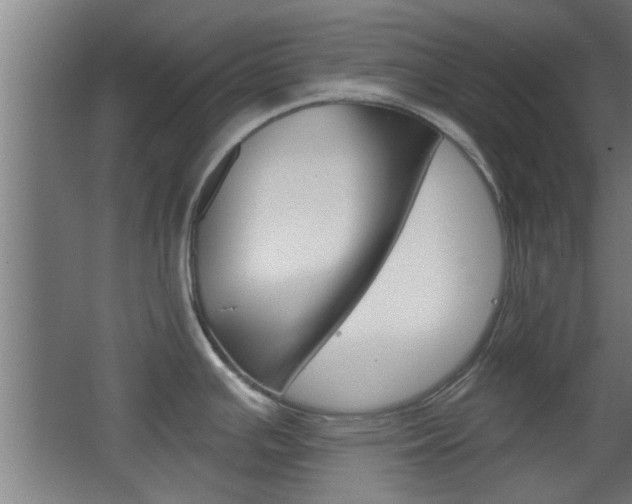 X0000068721391200604280913