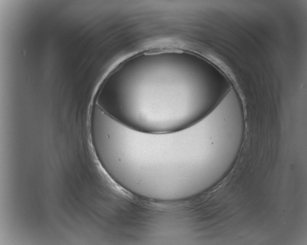X0000068721392200604280913