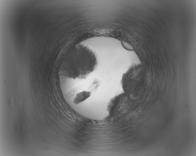 X0000068721393200604280912
