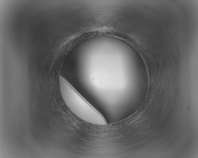 X0000068721398200604280912