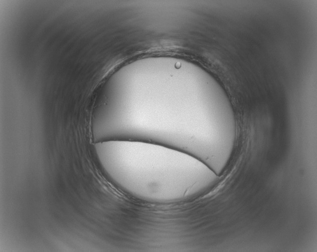 X0000068721401200604280912