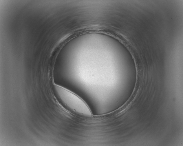 X0000068721402200604280912