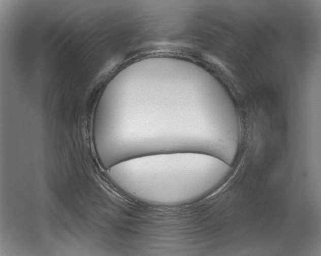 X0000068721403200604280912