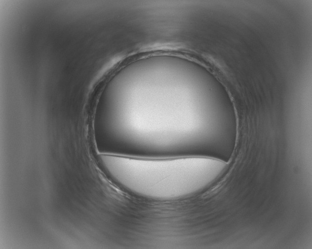 X0000068721406200604280912