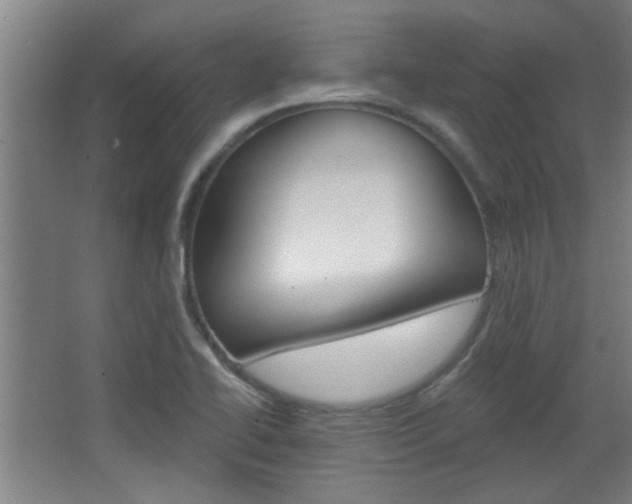 X0000068721414200604280912