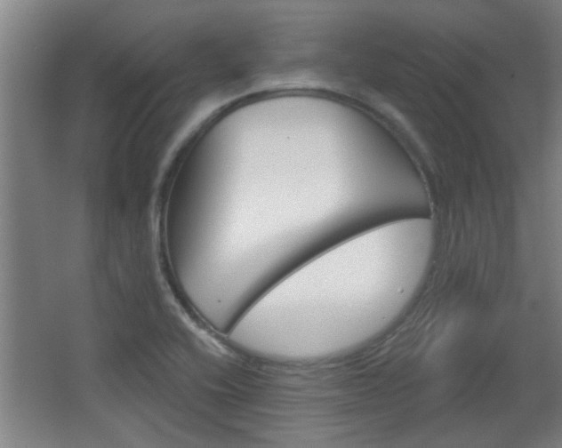 X0000068721416200604280912
