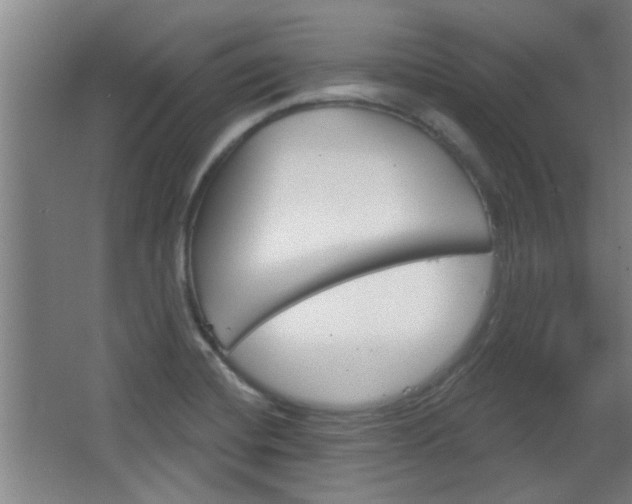 X0000068721420200604280912