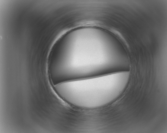 X0000068721424200604280912