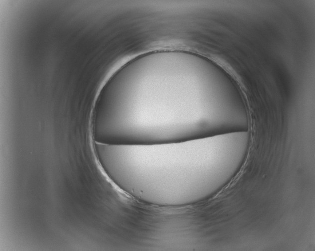 X0000068721440200604280913