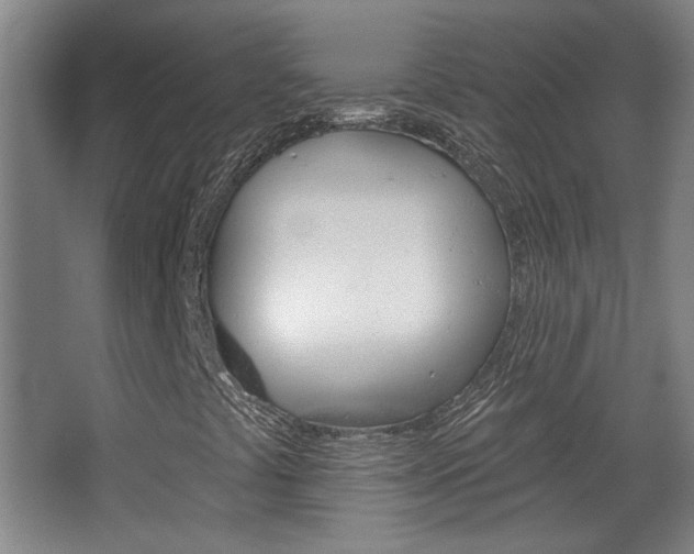 X0000068721441200604280912