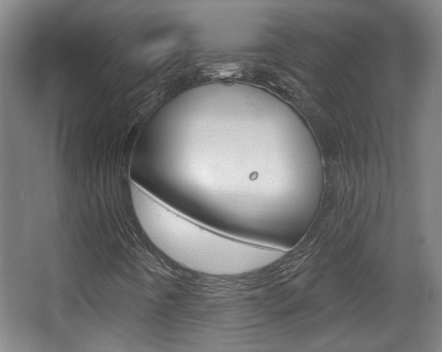 X0000068721442200604280912