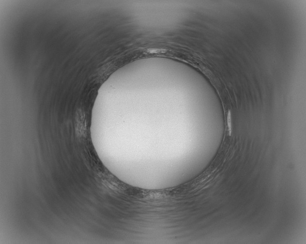 X0000068721443200604280912